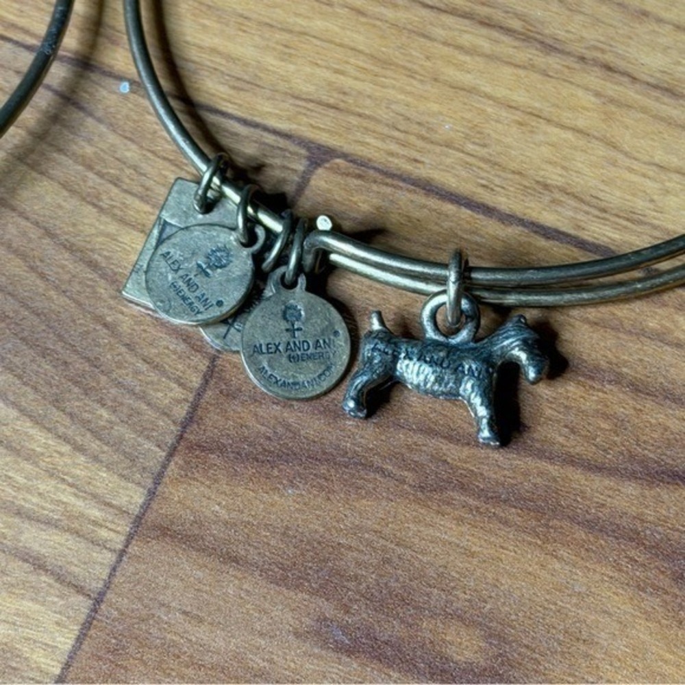 Alex and Ani Charity Bronze Charm Bangle Bracelets Dog Sea Turtle Alex&Ani Lot - Picture 5 of 8